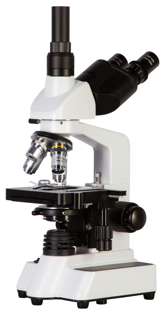 LEV-62567_1.jpg