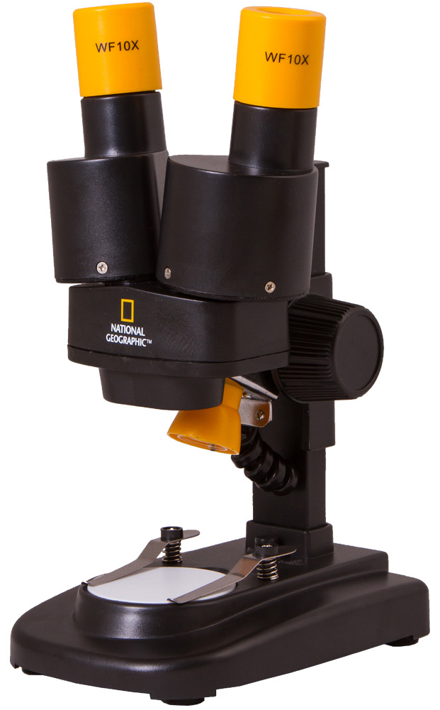 LEV-69365_1.jpg