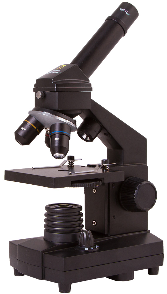 LEV-69368_1.jpg