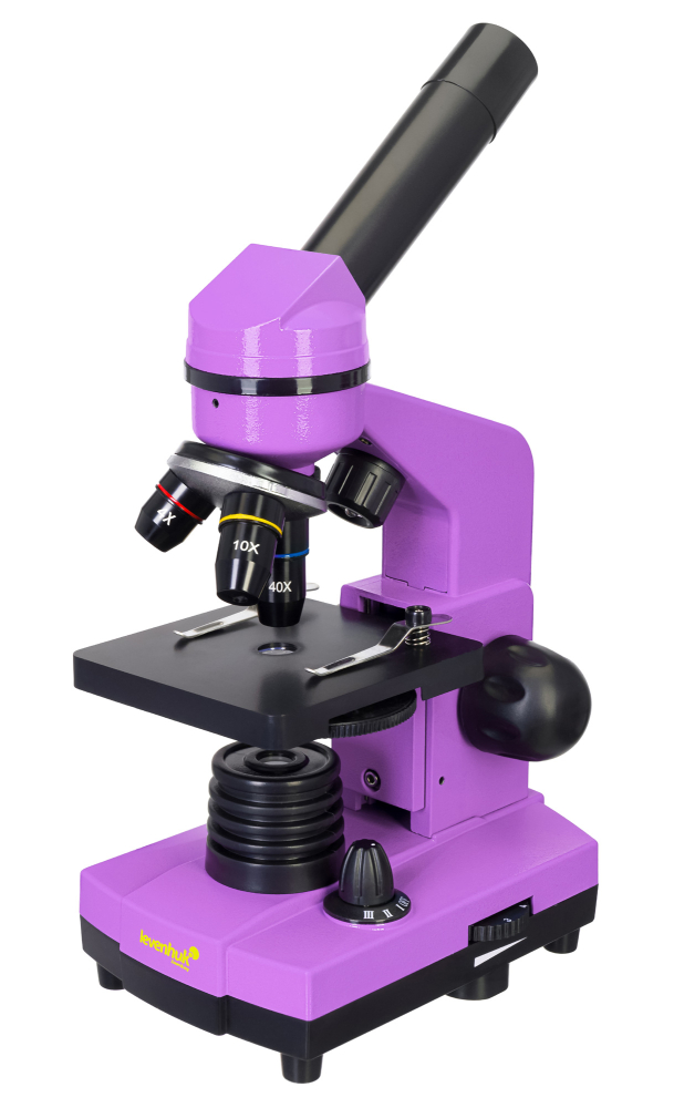 LEV-70225_1.jpg