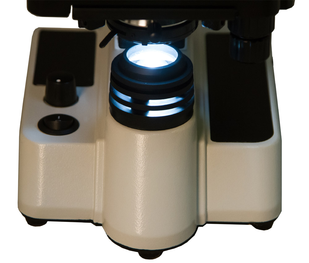 LEV-70332_2.jpg