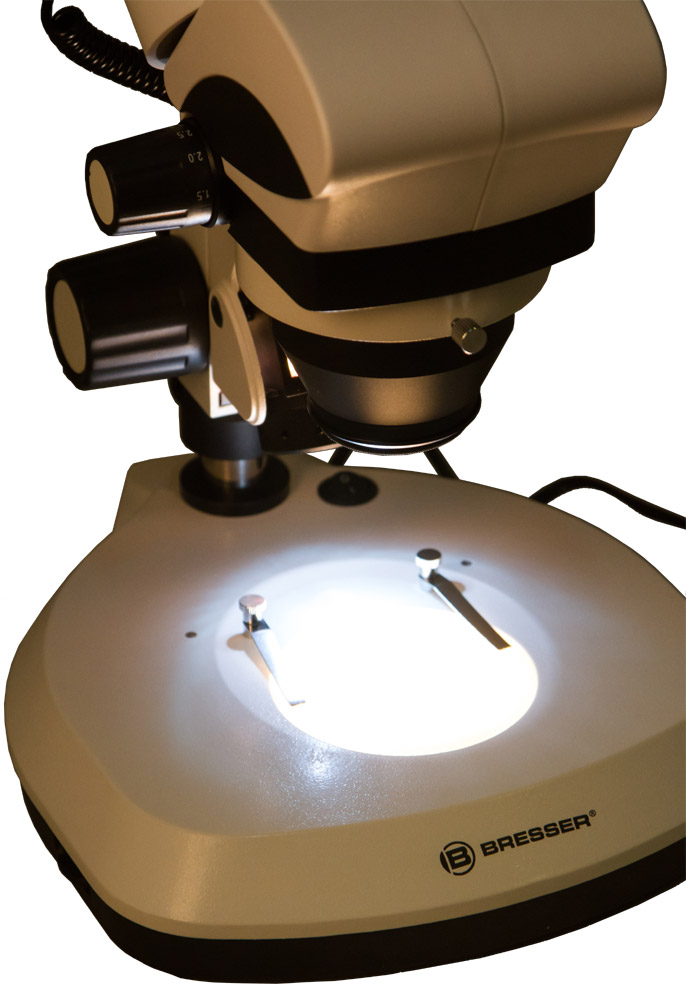 LEV-70516_3.jpg