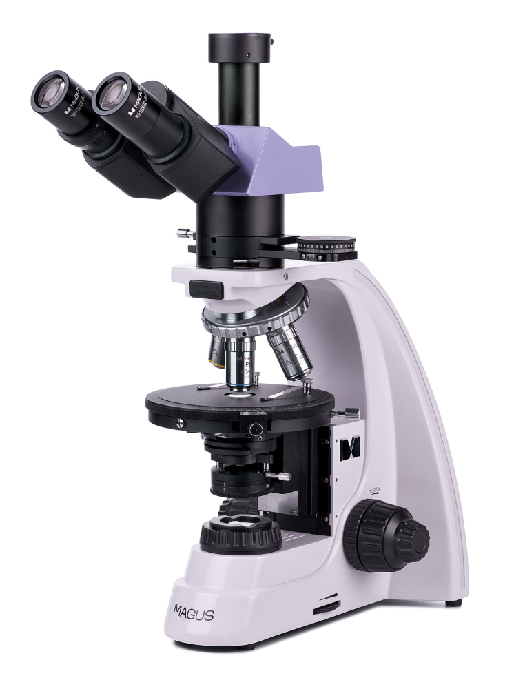 LEV-82911_1.jpg