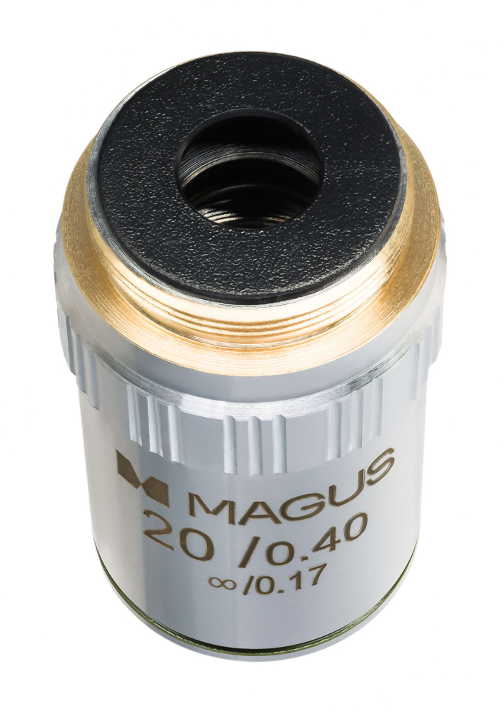 LEV-82927_4.jpg