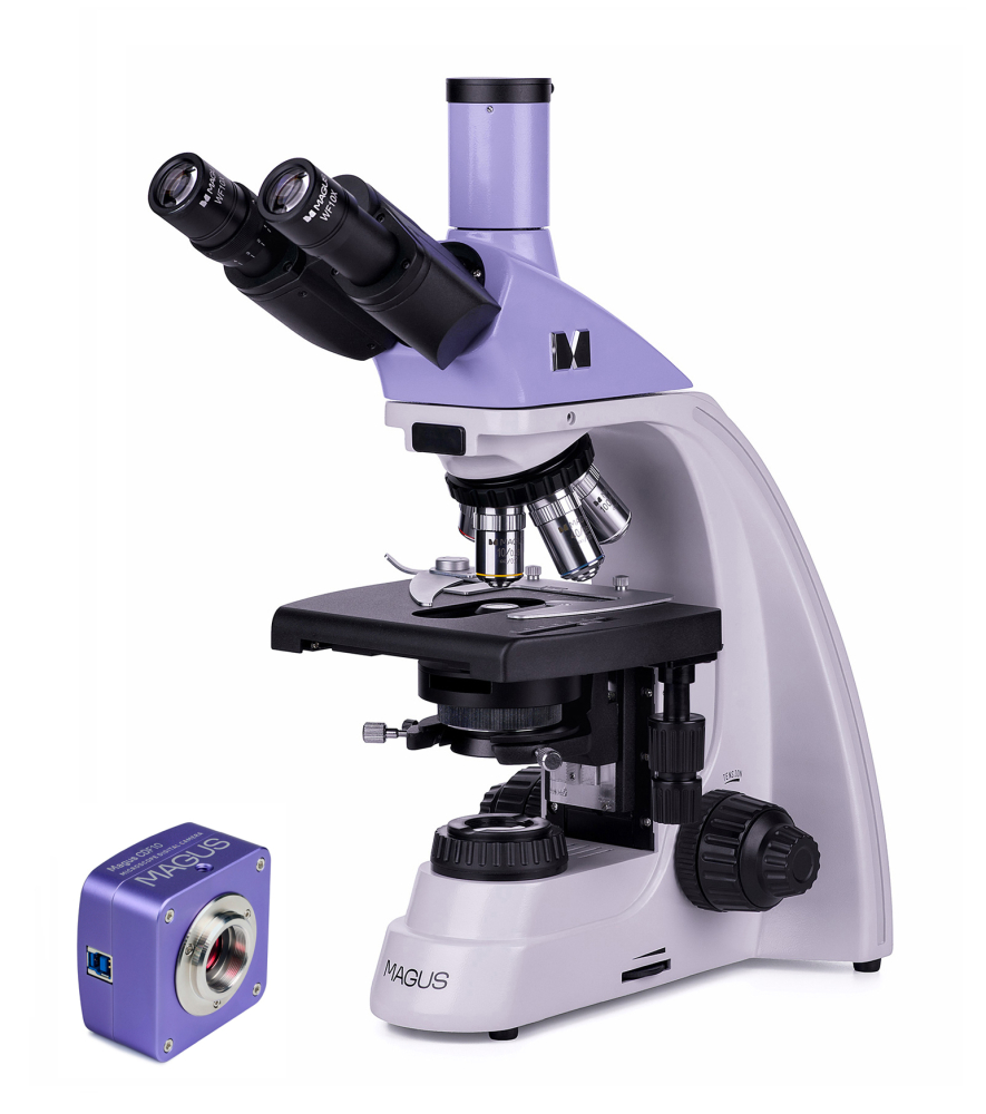 LEV-83004_1.jpg