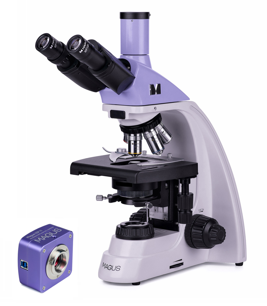 LEV-83006_1.jpg