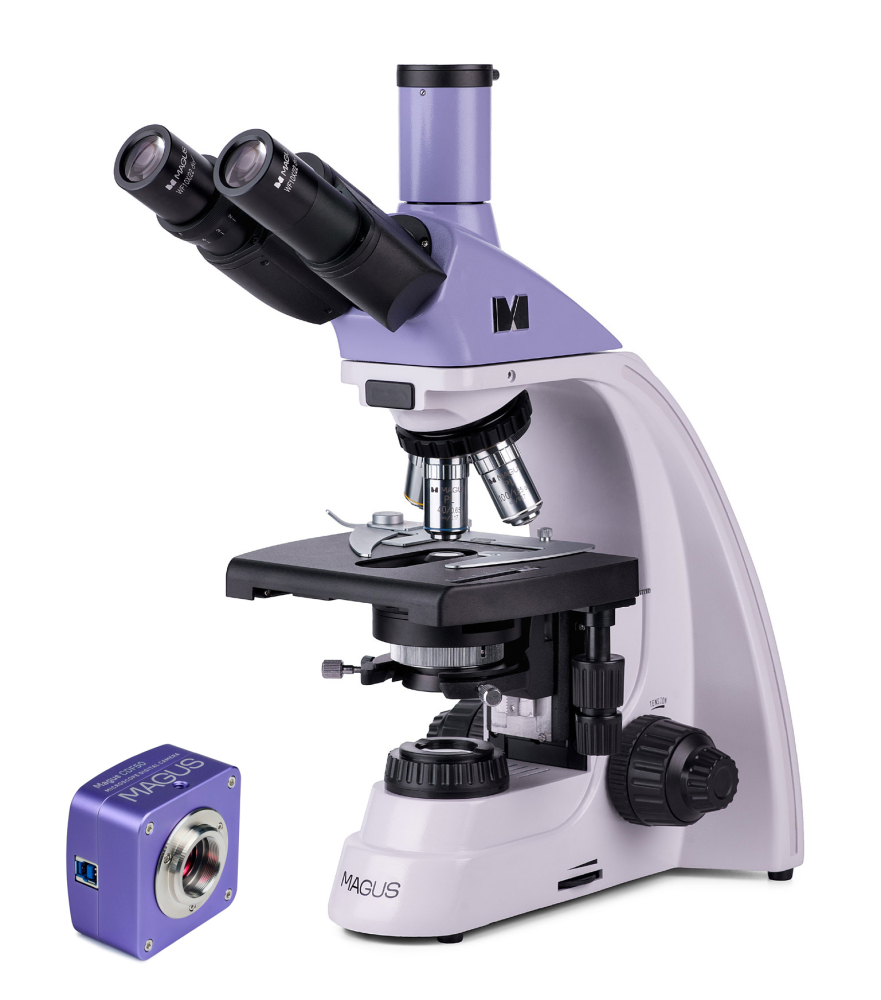 LEV-83010_1.jpg