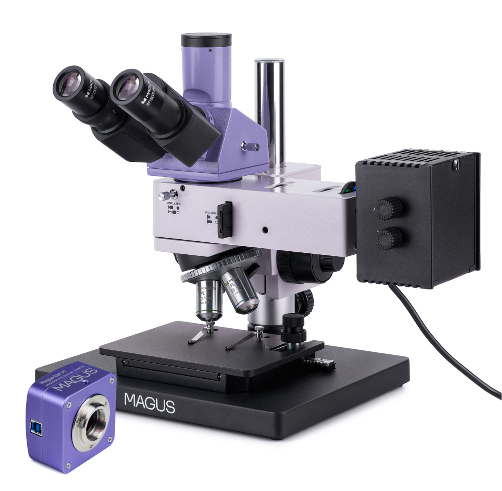 LEV-83028_1.jpg