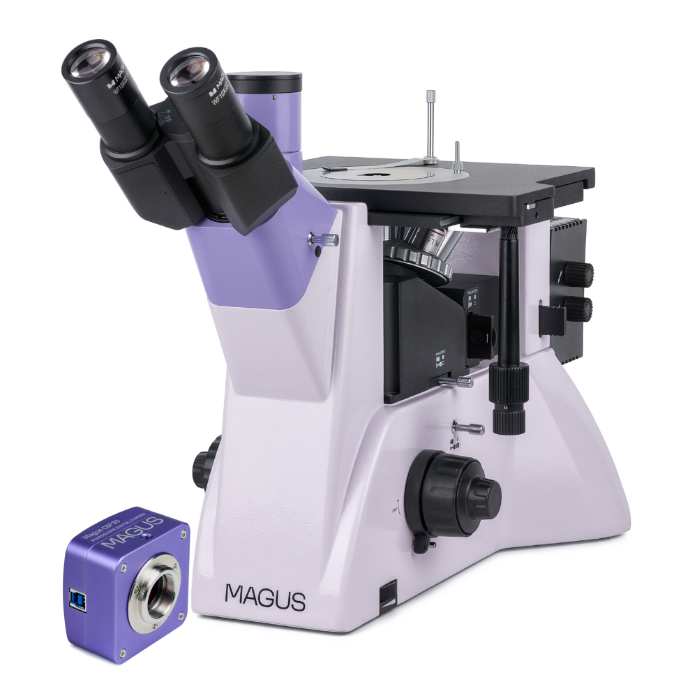 LEV-83036_1.jpg