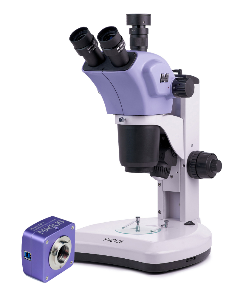 LEV-83044_1.jpg