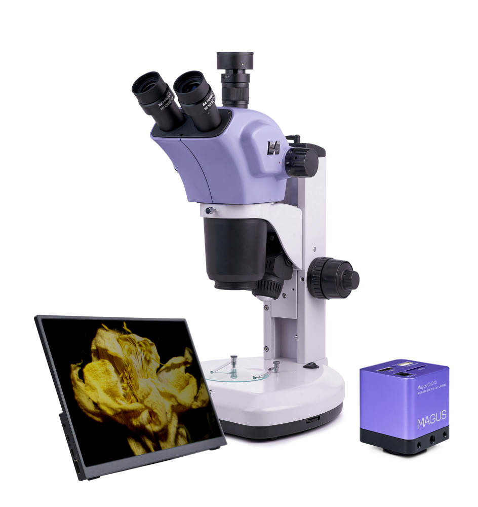 LEV-83045_1.jpg