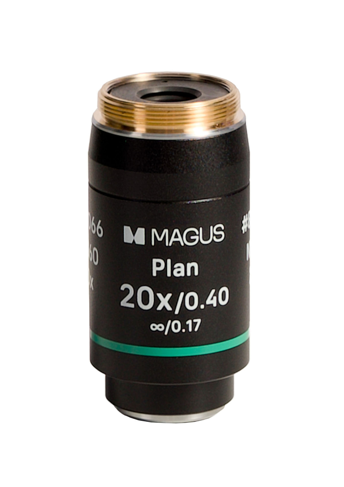LEV-85066_1.jpg