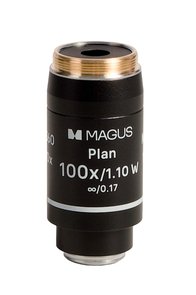 LEV-85069_1.jpg