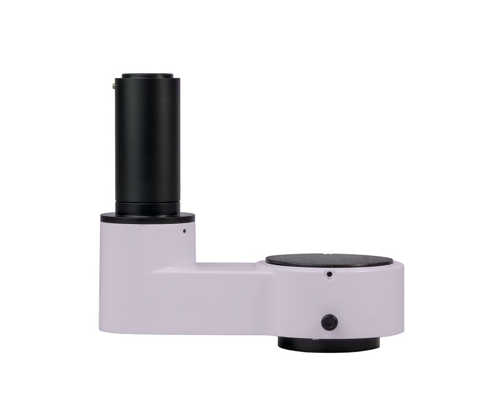 LEV-85143_1.jpg