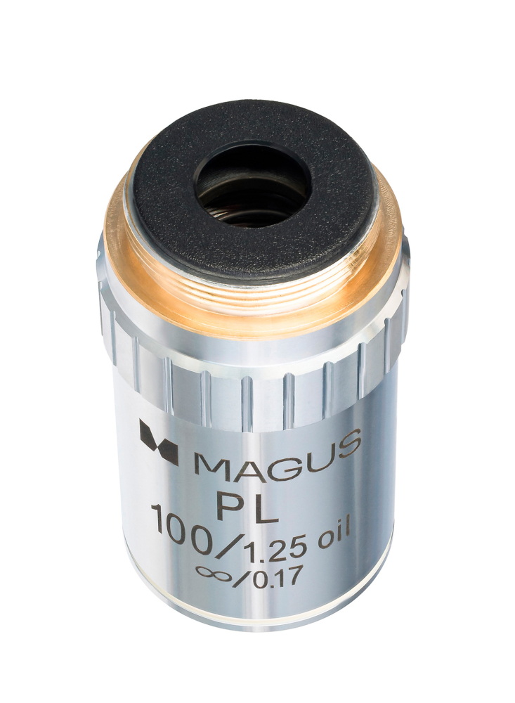 LEV-85240_4.jpg