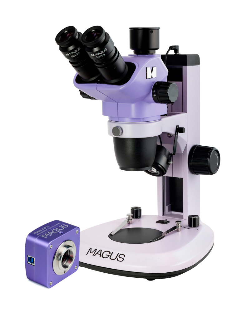 LEV-85277_1.jpg