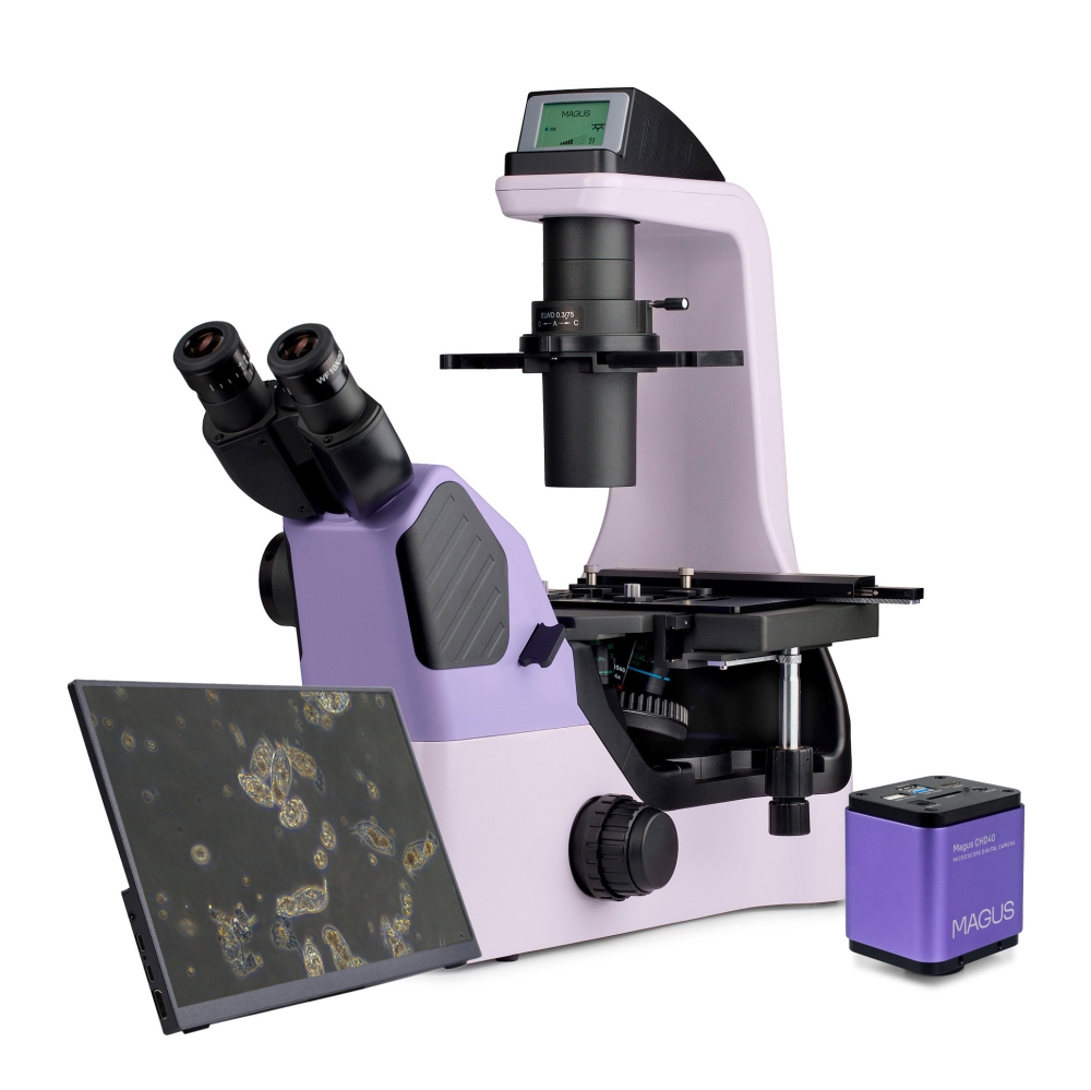 LEV-85287_1.jpg